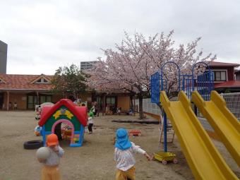 DSC02558サイズダウン30.jpg