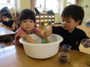IMG_6509.JPG