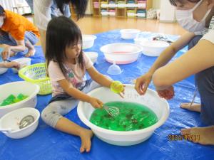 IMG_6548.JPG