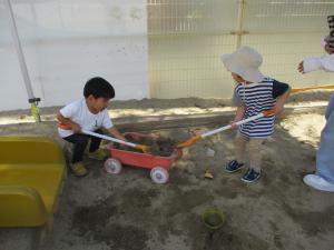 IMG_7014.JPG