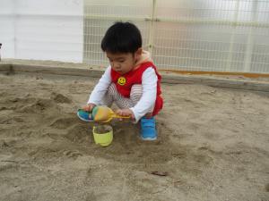 IMG_7019.JPG