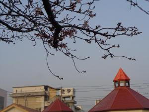 DSC05192サイズダウン30.jpg