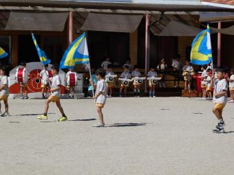 P1000038a.jpg