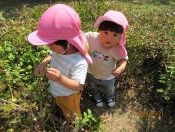 IMG_2252.jpg
