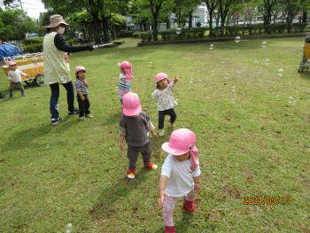 IMG_2095.jpg