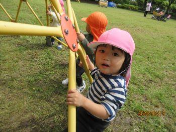 IMG_2121.jpg