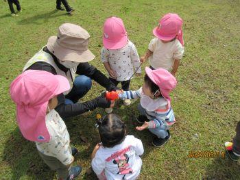 IMG_2137.jpg