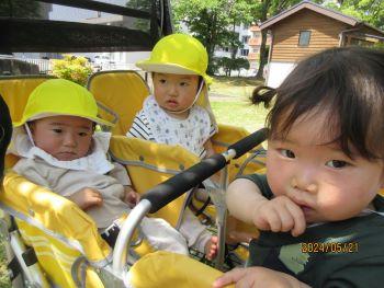 IMG_2245.jpg