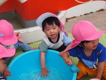 P1010099.jpg